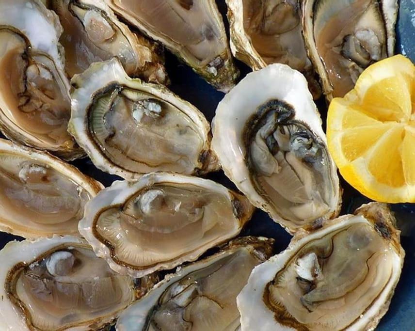 Le Calme A Deux Pas Du Port De Sete Apartman Kültér fotó